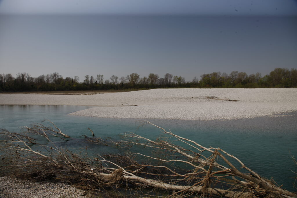 フェウディロマンス
