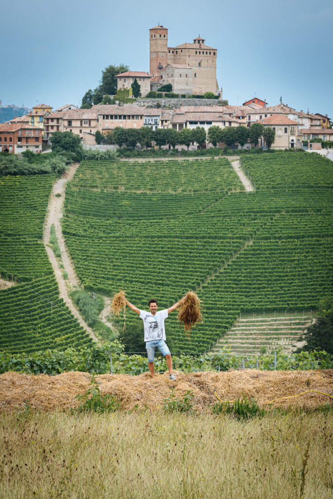 リヴェット ワイナリー風景