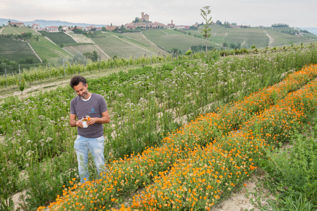リヴェット　ワイナリー風景